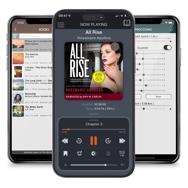 Download fo free audiobook All Rise by Rosemarie Aquilina and listen anywhere on your iOS devices in the ListenBook app.