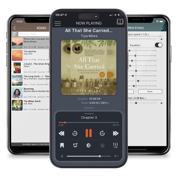 Download fo free audiobook All That She Carried: The Journey of Ashley's Sack, a Black... by Tiya Miles and listen anywhere on your iOS devices in the ListenBook app.