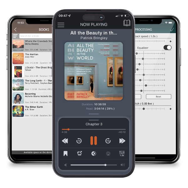 Download fo free audiobook All the Beauty in the World by Patrick Bringley and listen anywhere on your iOS devices in the ListenBook app.