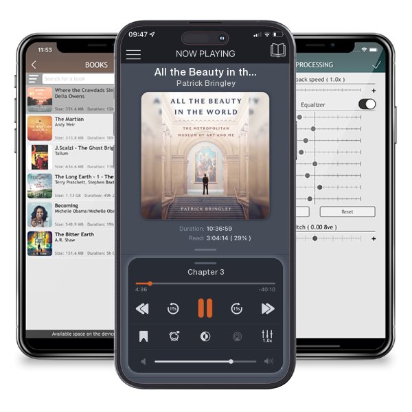 Download fo free audiobook All the Beauty in the World: The Metropolitan Museum of Art... by Patrick Bringley and listen anywhere on your iOS devices in the ListenBook app.
