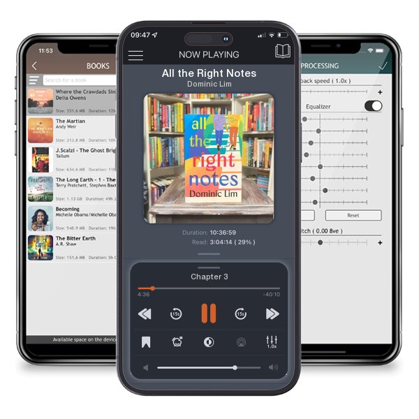 Download fo free audiobook All the Right Notes by Dominic Lim and listen anywhere on your iOS devices in the ListenBook app.