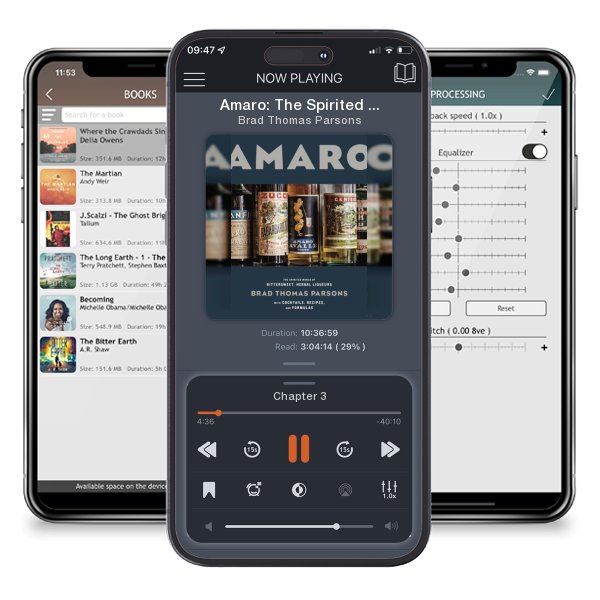 Download fo free audiobook Amaro: The Spirited World of Bittersweet, Herbal Liqueurs,... by Brad Thomas Parsons and listen anywhere on your iOS devices in the ListenBook app.