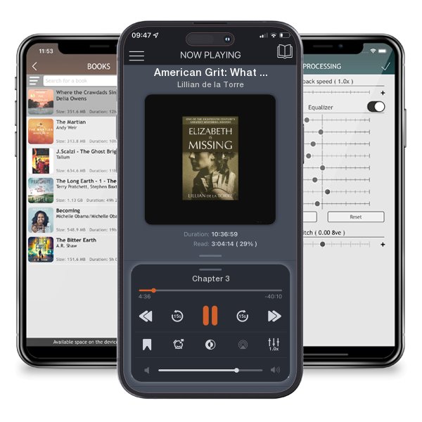 Download fo free audiobook American Grit: What It Will Take to Survive and Win in the 21st Century by Lillian de la Torre and listen anywhere on your iOS devices in the ListenBook app.