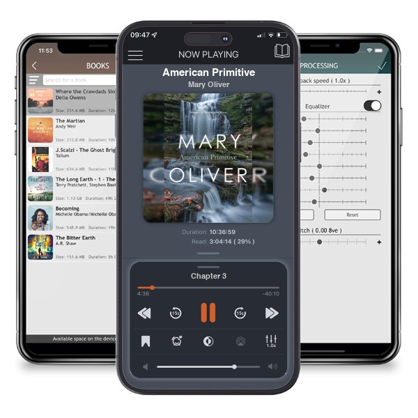 Download fo free audiobook American Primitive by Mary Oliver and listen anywhere on your iOS devices in the ListenBook app.