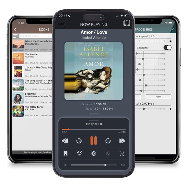 Descargar audiolibro gratis Amor / Love by Isabel Allende y escuchar en cualquier lugar en sus dispositivos iOS en la aplicación ListenBook.