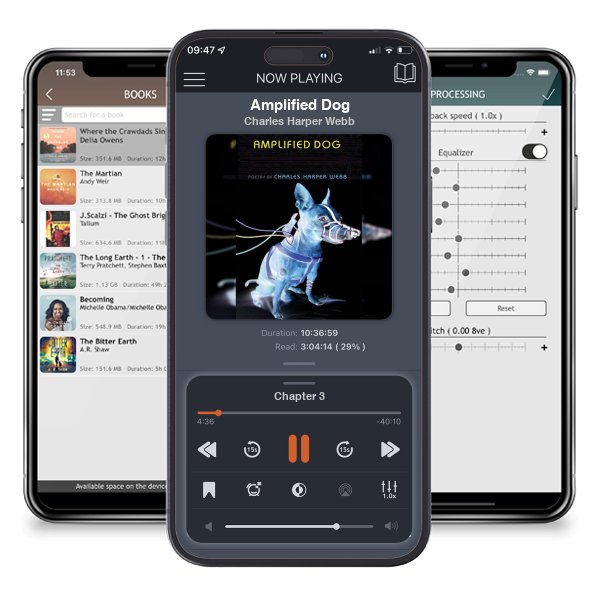 Download fo free audiobook Amplified Dog by Charles Harper Webb and listen anywhere on your iOS devices in the ListenBook app.