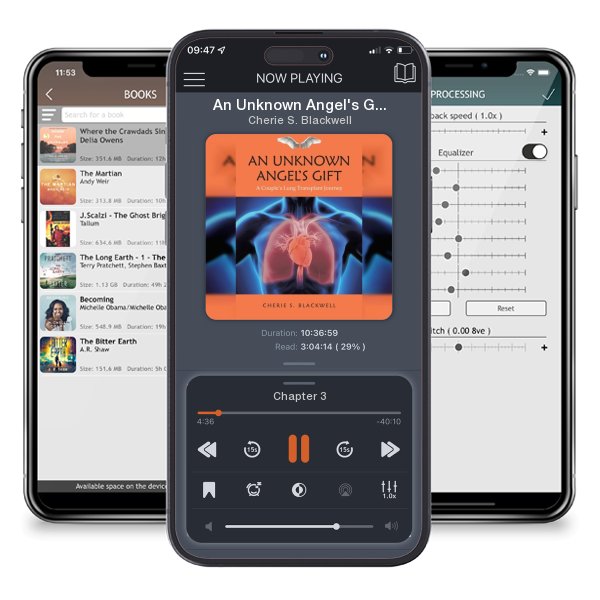 Download fo free audiobook An Unknown Angel's Gift: A Couple's Lung Transplant Journey by Cherie S. Blackwell and listen anywhere on your iOS devices in the ListenBook app.