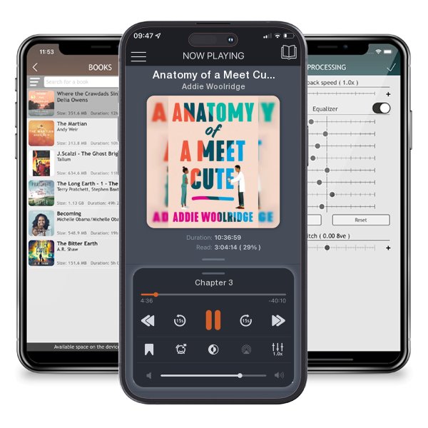 Download fo free audiobook Anatomy of a Meet Cute by Addie Woolridge and listen anywhere on your iOS devices in the ListenBook app.