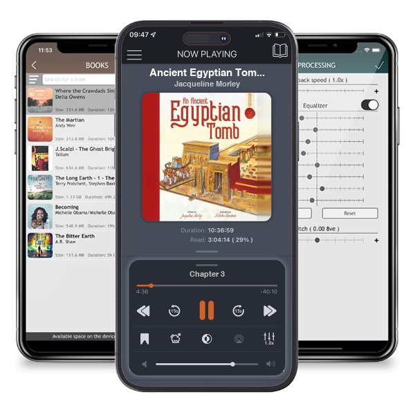 Download fo free audiobook Ancient Egyptian Tomb: Spectacular Visual Guides by Jacqueline Morley and listen anywhere on your iOS devices in the ListenBook app.