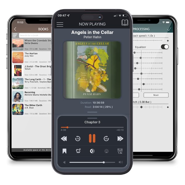Download fo free audiobook Angels in the Cellar by Peter Hahn and listen anywhere on your iOS devices in the ListenBook app.