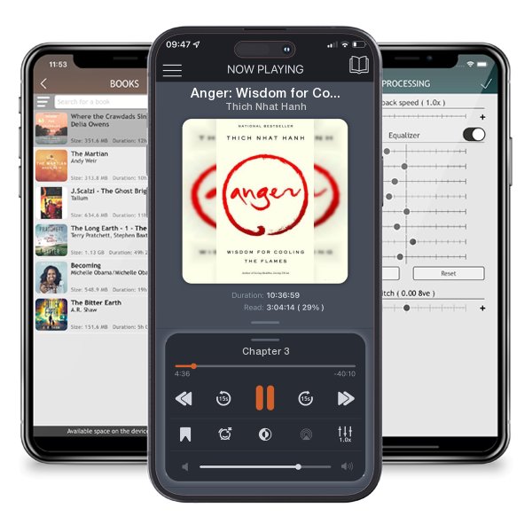 Download fo free audiobook Anger: Wisdom for Cooling the Flames by Thich Nhat Hanh and listen anywhere on your iOS devices in the ListenBook app.