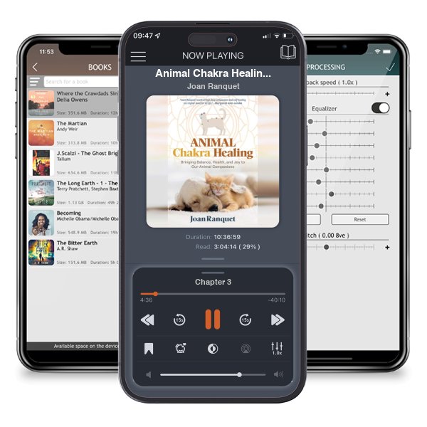 Download fo free audiobook Animal Chakra Healing: Bringing Balance, Health, and Joy to Our Animal Companions by Joan Ranquet and listen anywhere on your iOS devices in the ListenBook app.