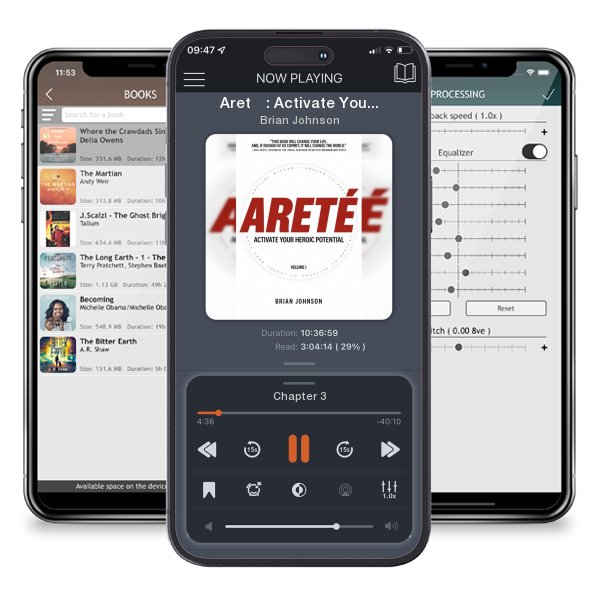 Download fo free audiobook Areté: Activate Your Heroic Potential by Brian Johnson and listen anywhere on your iOS devices in the ListenBook app.