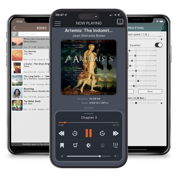 Download fo free audiobook Artemis: The Indomitable Spirit in Everywoman (For Readers of... by Jean Shinoda Bolen and listen anywhere on your iOS devices in the ListenBook app.