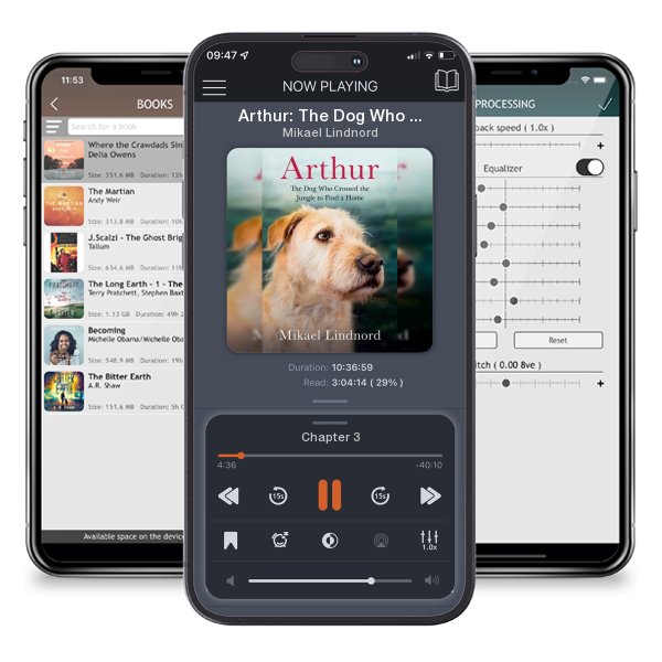 Download fo free audiobook Arthur: The Dog Who Crossed the Jungle to Find a Home by Mikael Lindnord and listen anywhere on your iOS devices in the ListenBook app.