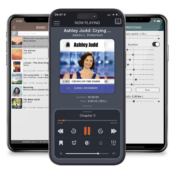 Download fo free audiobook Ashley Judd: Crying on the Inside by James L. Dickerson and listen anywhere on your iOS devices in the ListenBook app.