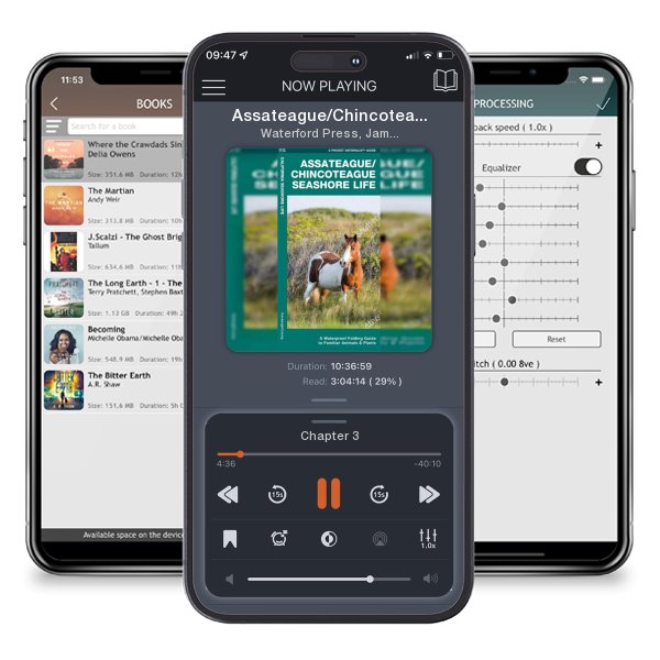 Download fo free audiobook Assateague/Chincoteague Seashore Life: A Waterproof Folding... by Waterford Press, James Kavanagh, et al. and listen anywhere on your iOS devices in the ListenBook app.