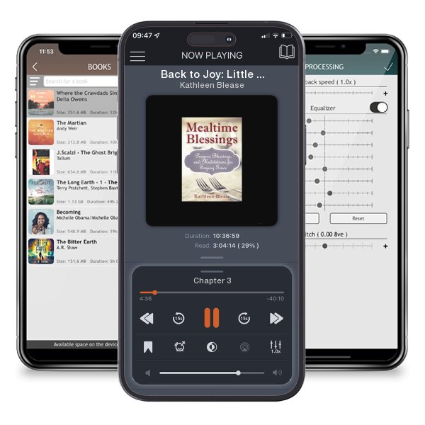 Download fo free audiobook Back to Joy: Little Reminders to Help Us through Tough Times by Kathleen Blease and listen anywhere on your iOS devices in the ListenBook app.