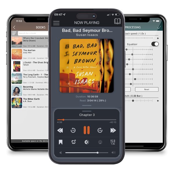 Download fo free audiobook Bad, Bad Seymour Brown by Susan Isaacs and listen anywhere on your iOS devices in the ListenBook app.