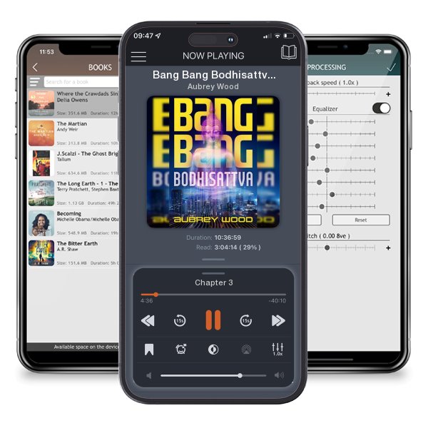 Download fo free audiobook Bang Bang Bodhisattva by Aubrey Wood and listen anywhere on your iOS devices in the ListenBook app.