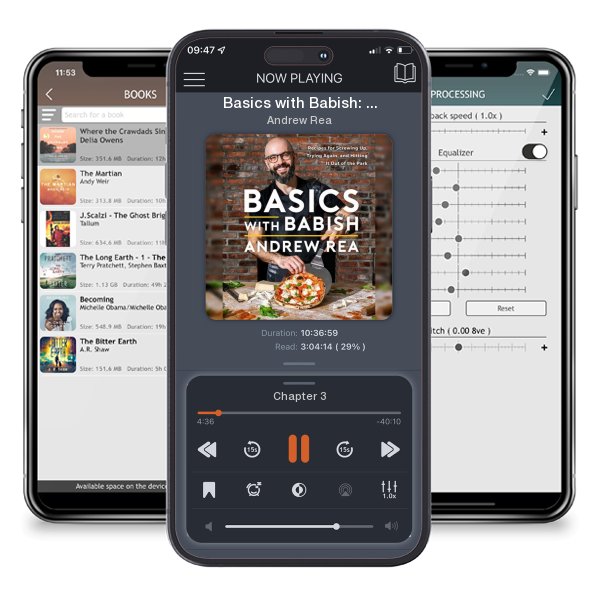 Download fo free audiobook Basics with Babish: Recipes for Screwing Up, Trying Again,... by Andrew Rea and listen anywhere on your iOS devices in the ListenBook app.