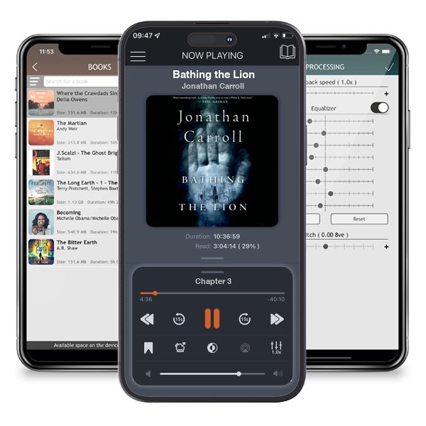 Download fo free audiobook Bathing the Lion by Jonathan Carroll and listen anywhere on your iOS devices in the ListenBook app.