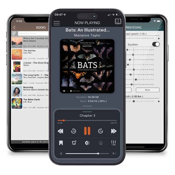 Download fo free audiobook Bats: An Illustrated Guide to All Species by Marianne Taylor and listen anywhere on your iOS devices in the ListenBook app.