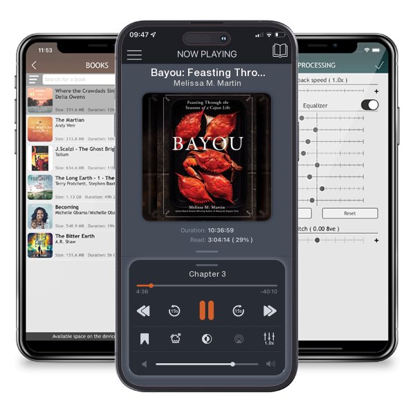 Download fo free audiobook Bayou: Feasting Through the Seasons of a Cajun Life by Melissa M. Martin and listen anywhere on your iOS devices in the ListenBook app.