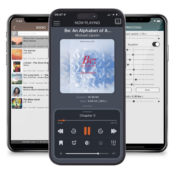 Download fo free audiobook Be: An Alphabet of Astonishment by Michael Lipson and listen anywhere on your iOS devices in the ListenBook app.