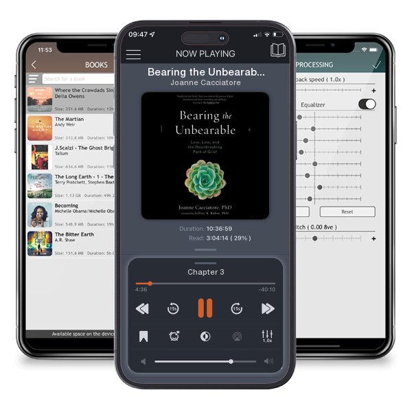 Download fo free audiobook Bearing the Unbearable: Love, Loss, and the Heartbreaking... by Joanne Cacciatore and listen anywhere on your iOS devices in the ListenBook app.