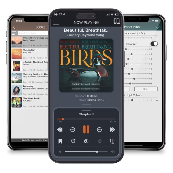 Download fo free audiobook Beautiful, Breathtaking, Birds by Zachary Raymond Vaughan and listen anywhere on your iOS devices in the ListenBook app.