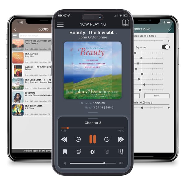 Download fo free audiobook Beauty: The Invisible Embrace (Perennial) by John O'Donohue and listen anywhere on your iOS devices in the ListenBook app.