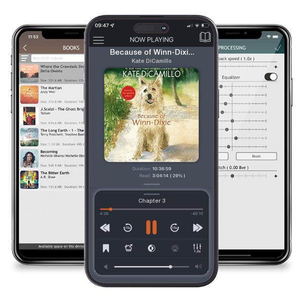 Download fo free audiobook Because of Winn-Dixie by Kate DiCamillo and listen anywhere on your iOS devices in the ListenBook app.