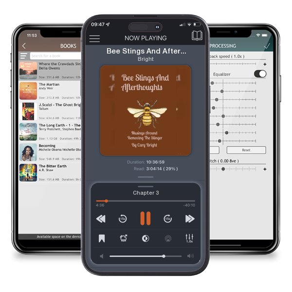 Download fo free audiobook Bee Stings And Afterthoughts: Musings Around Removing The Stinger by Bright and listen anywhere on your iOS devices in the ListenBook app.