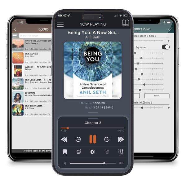 Download fo free audiobook Being You: A New Science of Consciousness by Anil Seth and listen anywhere on your iOS devices in the ListenBook app.