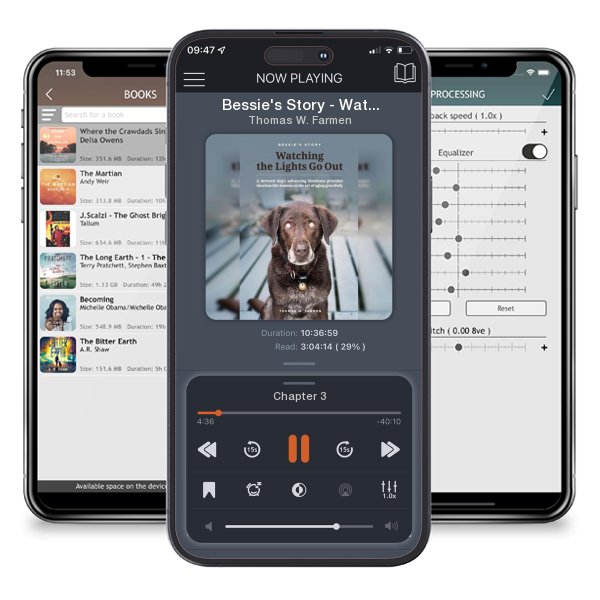 Download fo free audiobook Bessie's Story - Watching the Lights Go Out by Thomas W. Farmen and listen anywhere on your iOS devices in the ListenBook app.