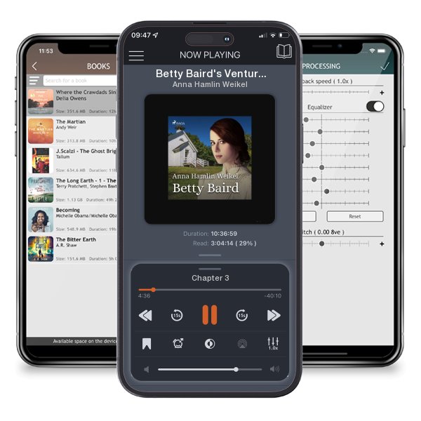 Download fo free audiobook Betty Baird's Ventures by Anna Hamlin Weikel and listen anywhere on your iOS devices in the ListenBook app.