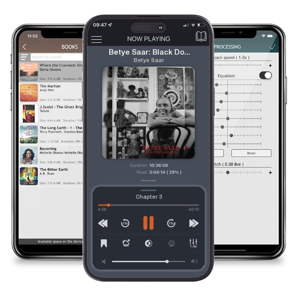 Download fo free audiobook Betye Saar: Black Doll Blues by Betye Saar and listen anywhere on your iOS devices in the ListenBook app.