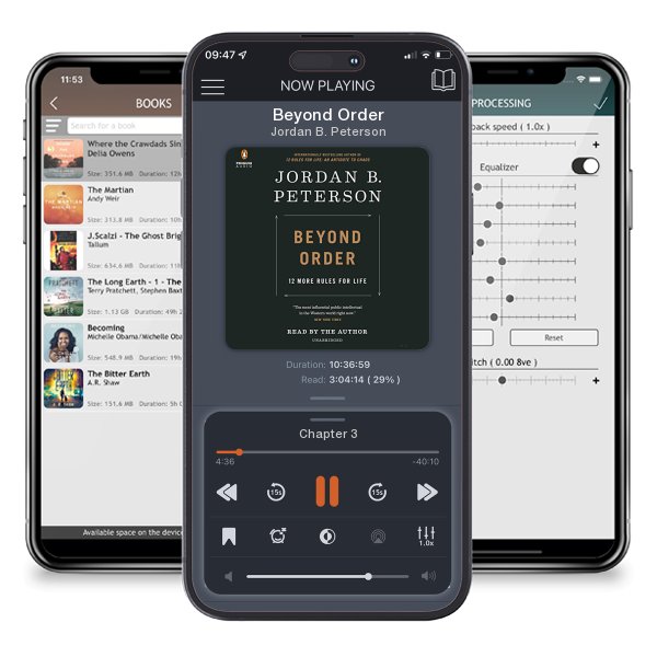 Download fo free audiobook Beyond Order by Jordan B. Peterson and listen anywhere on your iOS devices in the ListenBook app.