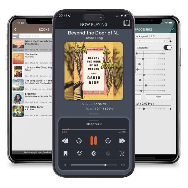 Download fo free audiobook Beyond the Door of No Return by David Diop and listen anywhere on your iOS devices in the ListenBook app.