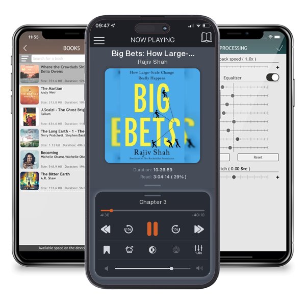 Download fo free audiobook Big Bets: How Large-Scale Change Really Happens by Rajiv Shah and listen anywhere on your iOS devices in the ListenBook app.