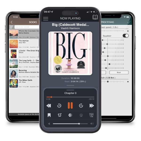 Download fo free audiobook Big (Caldecott Medal Winner & Coretta Scott King Honor Title) by Vashti Harrison and listen anywhere on your iOS devices in the ListenBook app.