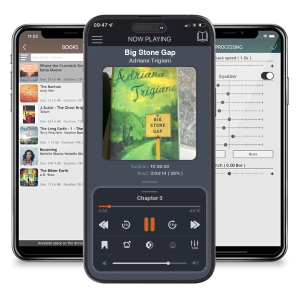 Download fo free audiobook Big Stone Gap by Adriana Trigiani and listen anywhere on your iOS devices in the ListenBook app.