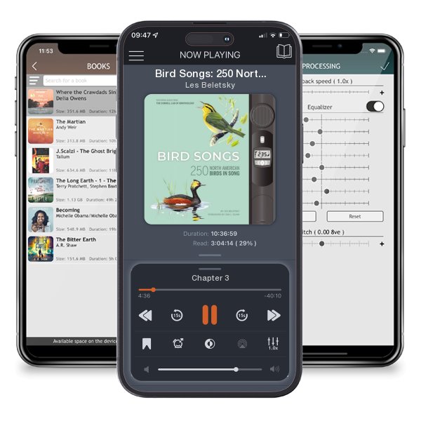 Download fo free audiobook Bird Songs: 250 North American Birds in Song by Les Beletsky and listen anywhere on your iOS devices in the ListenBook app.