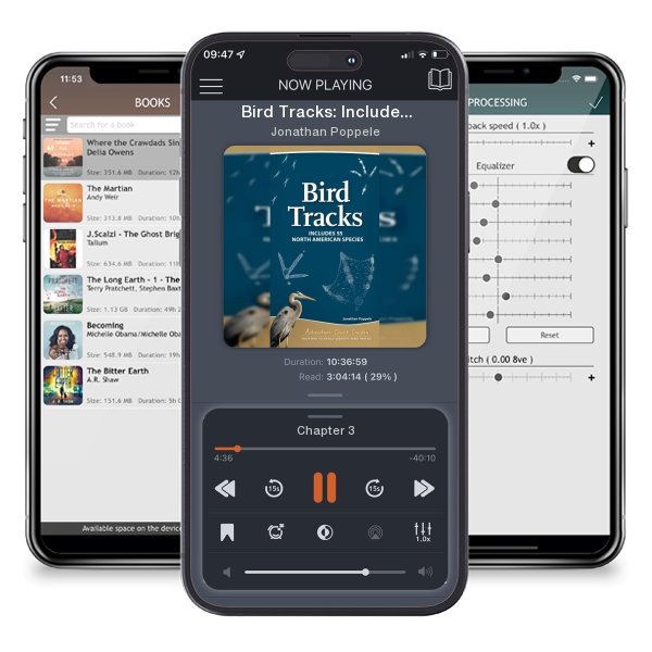 Download fo free audiobook Bird Tracks: Includes 55 North American Species by Jonathan Poppele and listen anywhere on your iOS devices in the ListenBook app.