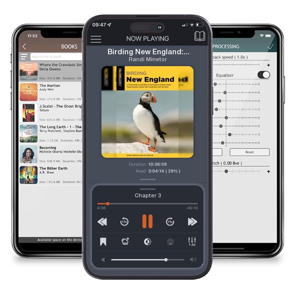 Download fo free audiobook Birding New England: A Field Guide to the Birds of Connecticut, Rhode Island, Massachusetts, Maine, New Hampshire, and Vermont by Randi Minetor and listen anywhere on your iOS devices in the ListenBook app.