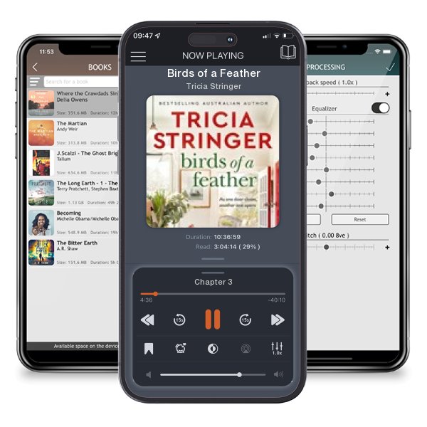 Download fo free audiobook Birds of a Feather by Tricia Stringer and listen anywhere on your iOS devices in the ListenBook app.