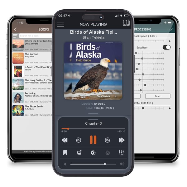 Download fo free audiobook Birds of Alaska Field Guide (Revised) by Stan Tekiela and listen anywhere on your iOS devices in the ListenBook app.