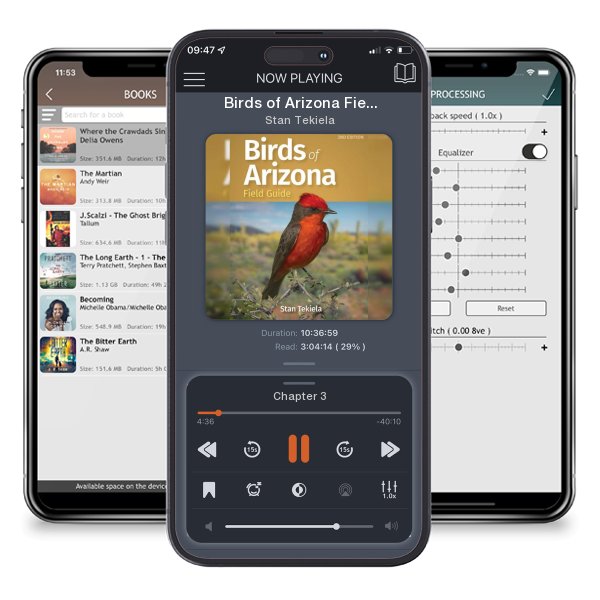 Download fo free audiobook Birds of Arizona Field Guide by Stan Tekiela and listen anywhere on your iOS devices in the ListenBook app.