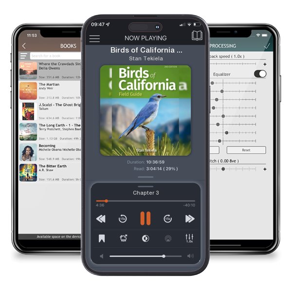 Download fo free audiobook Birds of California Field Guide by Stan Tekiela and listen anywhere on your iOS devices in the ListenBook app.